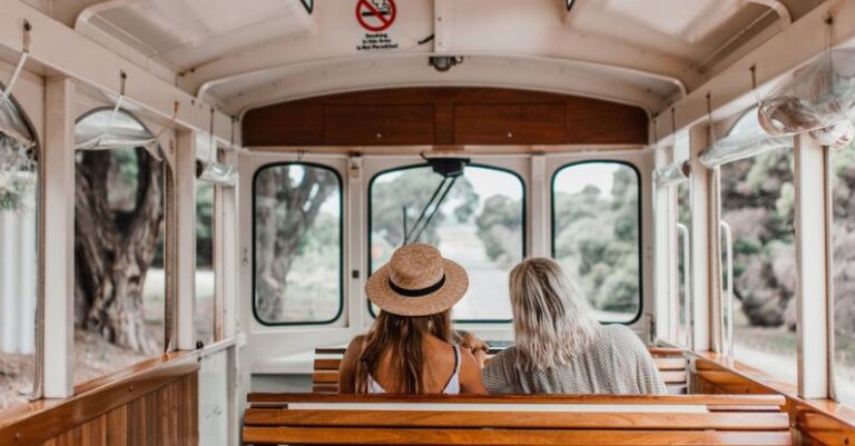 Bus Tours - Tourists on Sightseeing Tour