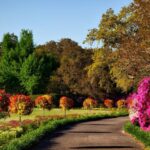 Gardens - Gray Concrete Pathway Besides Pink Flower during Day