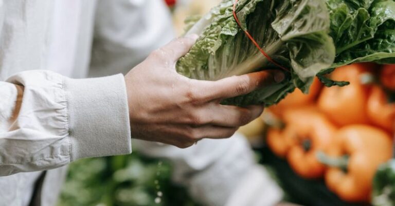 Department Stores - Crop unrecognizable buyer with fresh lettuce in hand standing near stall with greens and vegetables during grocery shopping in supermarket