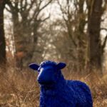 Sculpture Parks - Blaues Schaf