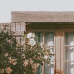 Neighborhoods - Exterior of cozy residential house with wooden window and tiled roof near lush blossoming tree on sunny day